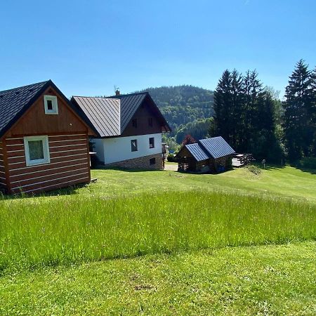 Apartmany Silver Rokytnice nad Jizerou Zewnętrze zdjęcie