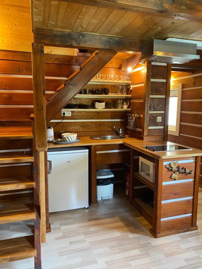 Apartmany Silver Rokytnice nad Jizerou Zewnętrze zdjęcie