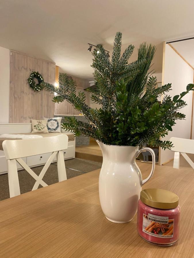 Apartmany Silver Rokytnice nad Jizerou Zewnętrze zdjęcie